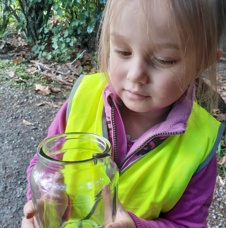 Learning About Insects