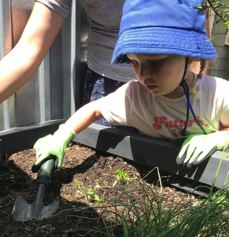 Sowing Wildflowers