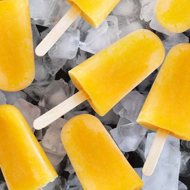 Family Recipe - Ice Blocks